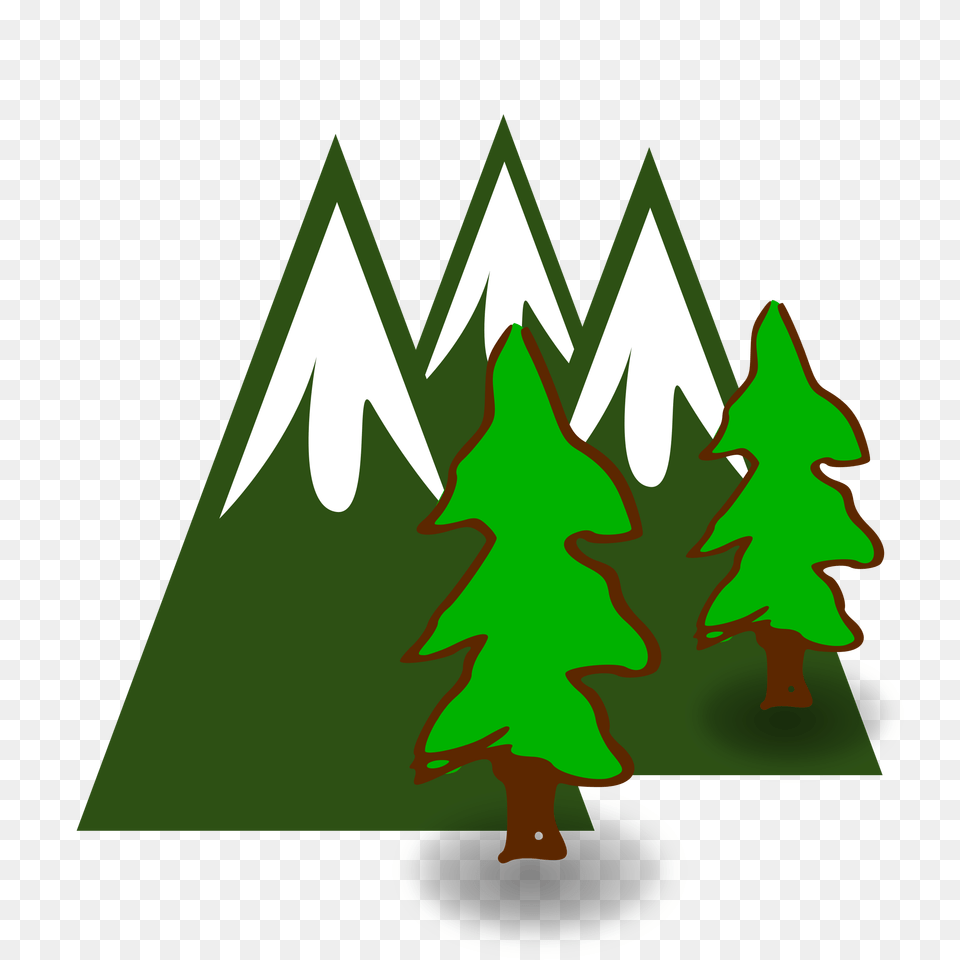Evergreen Cliparts, Green, Person, Plant, Tree Free Transparent Png