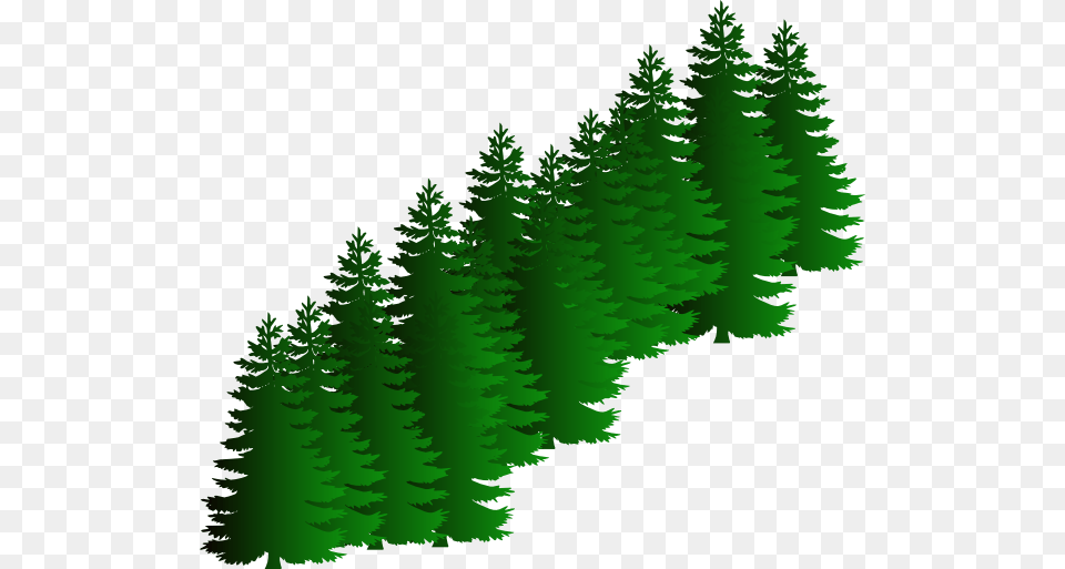 Evergreen Cluster Clip Art, Fir, Green, Pine, Plant Free Png