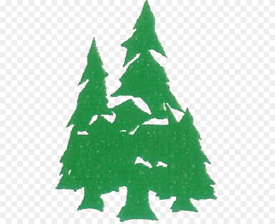 Evergreen Electrical Hopes Partners, Tree, Plant, Christmas, Christmas Decorations Free Transparent Png