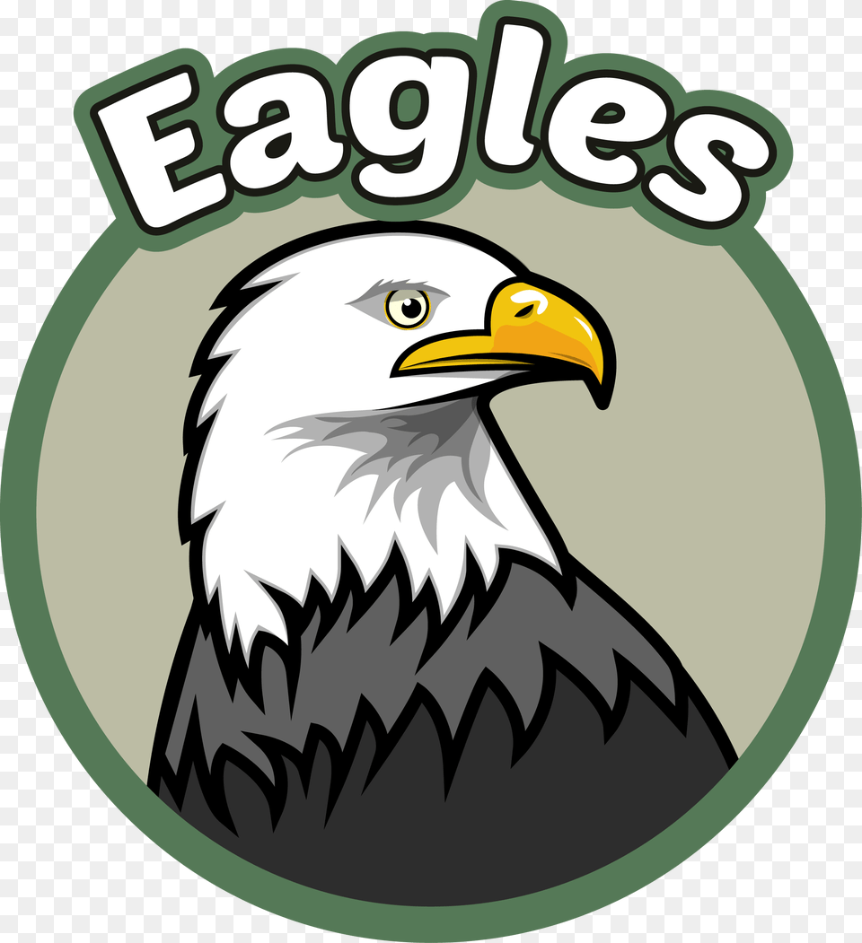Evergreen Elementary Evergreen Elementary Primary School, Animal, Beak, Bird, Eagle Png Image