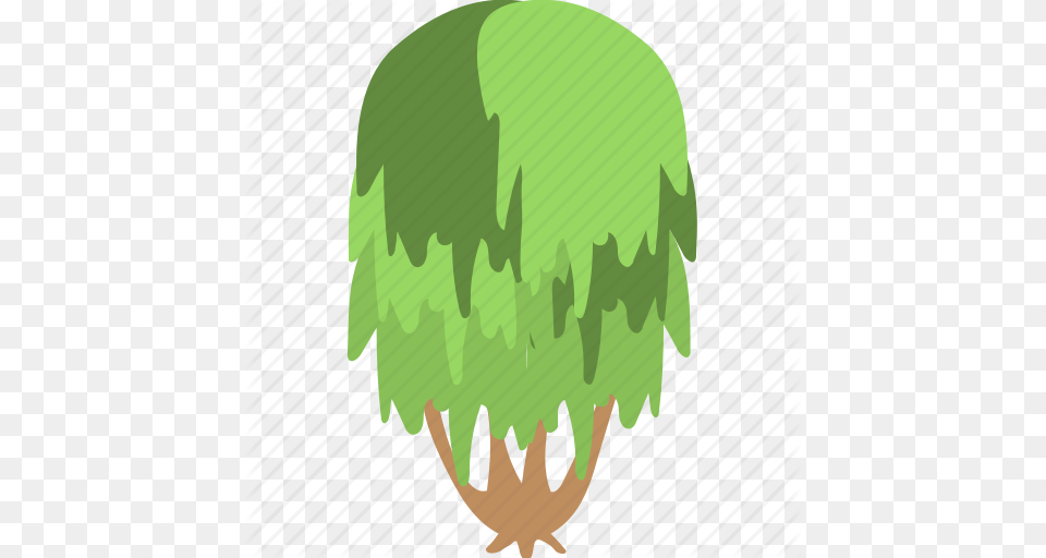 Evergreen Foliage Greenery Nature Weeping Willow Icon, Green, Plant, Vegetation, Person Free Transparent Png