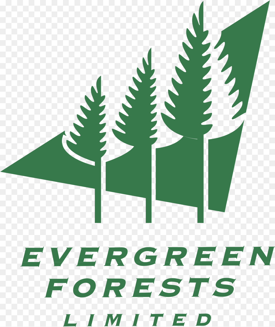 Evergreen Forests Icon, Plant, Tree, Advertisement, Grass Free Png Download