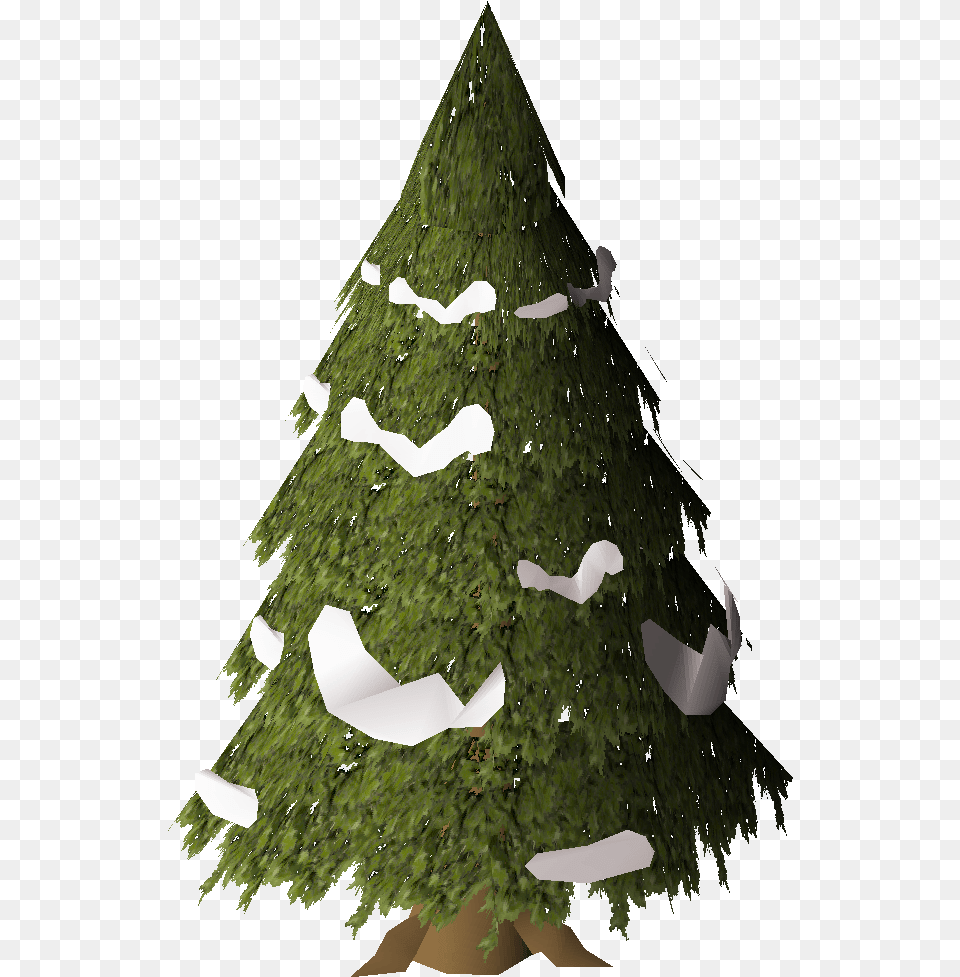 Evergreen Osrs Wiki Christmas Tree, Plant, Fir, Christmas Decorations, Festival Free Png Download