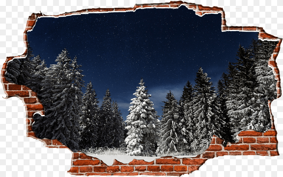 Evergreen Snowy Trees Dark Night Breaking Wall Nature Rainbow Breaking A Wall, Brick, Fir, Tree, Plant Free Transparent Png