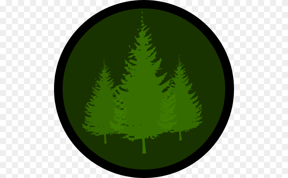 Evergreen Symbol 1 Clip Art Clip Art, Fir, Green, Pine, Plant Png
