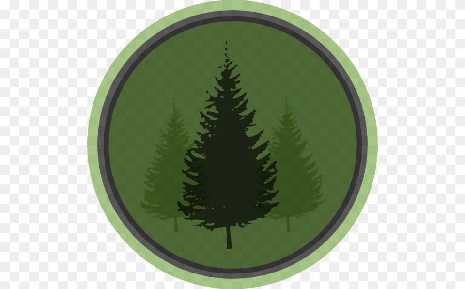 Evergreen Symbol 2, Fir, Green, Pine, Plant Free Transparent Png