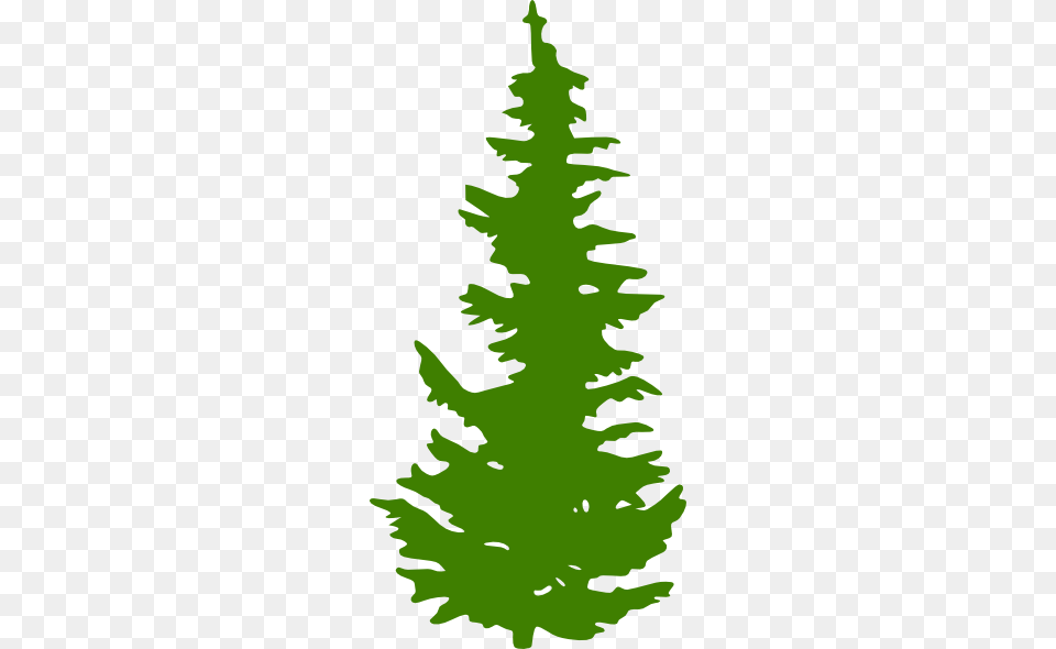 Evergreen Tree Clip Art, Fir, Pine, Plant, Leaf Png Image