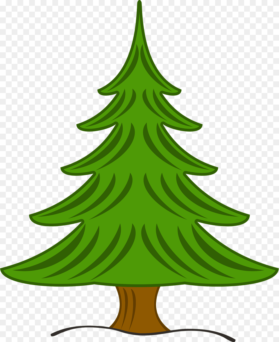 Evergreen Tree Clipart, Plant, Fir, Pine, Shark Free Png