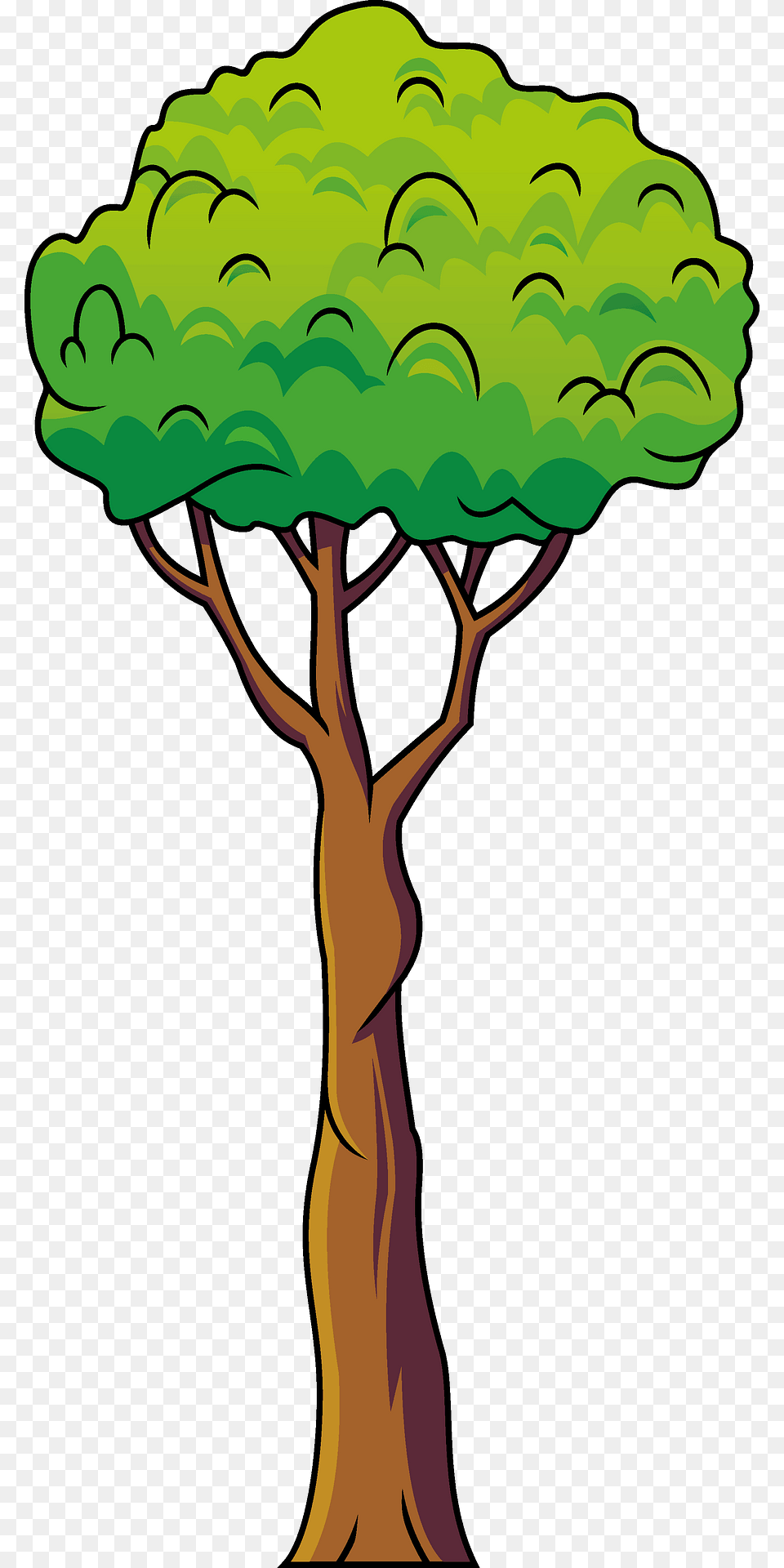 Evergreen Tree Clipart, Plant, Art, Painting, Cross Free Png