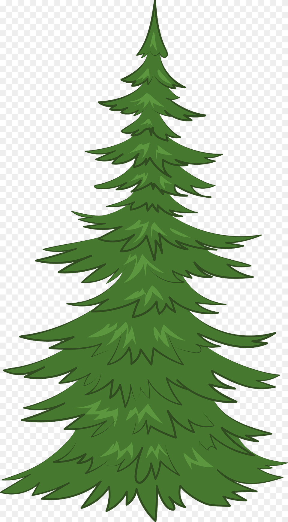 Evergreen Tree Clipart, Fir, Pine, Plant, Conifer Png