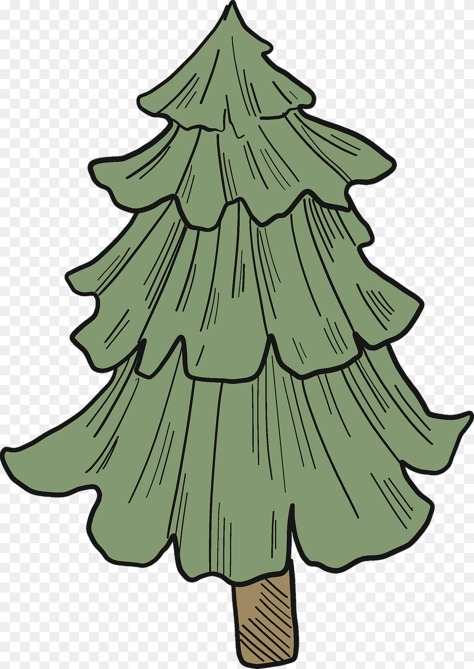 Evergreen Tree Clipart, Plant, Person, Art, Christmas Png Image