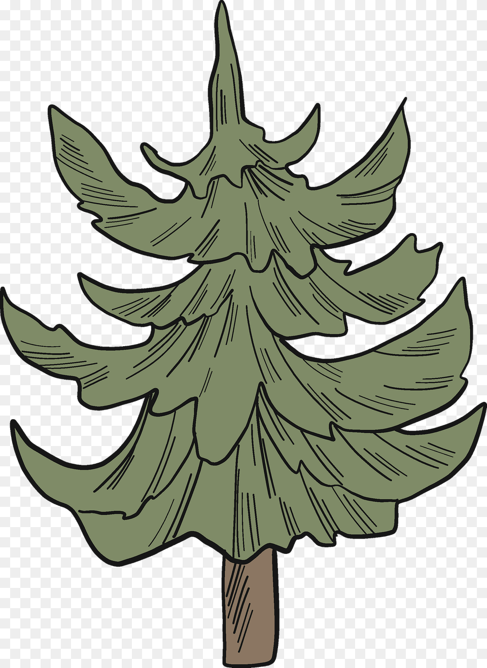Evergreen Tree Clipart, Plant, Fir, Person, Art Free Png Download