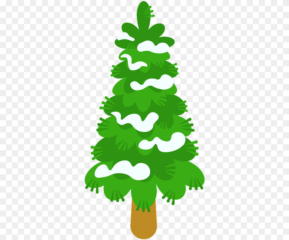 Evergreen Tree Clipart Clipart Evergreen Tree, Pine, Plant, Christmas, Christmas Decorations Free Png