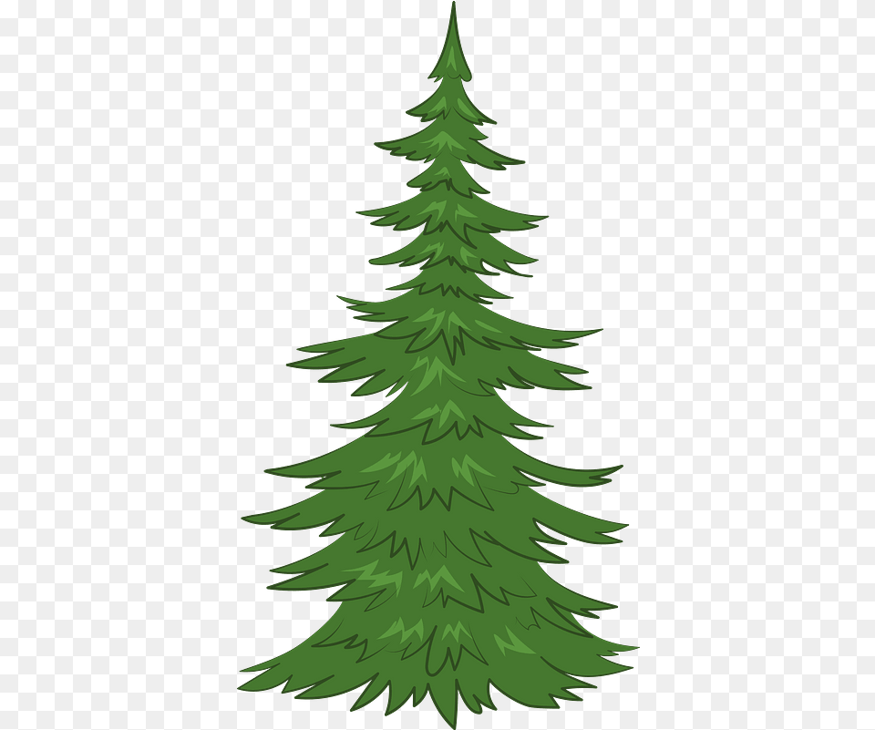 Evergreen Tree Clipart Pine Tree Clipart, Plant, Fir, Green, Conifer Png Image