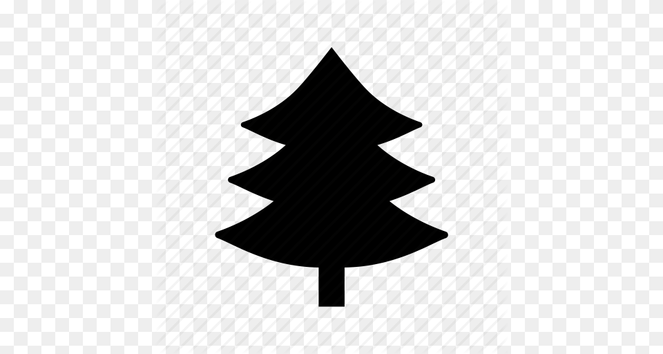 Evergreen Tree Fir Tree Pinetree Tree True Pine Icon, Silhouette, Plant Free Png Download
