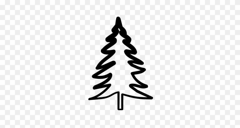 Evergreen Tree Outline Gallery Images, Stencil, First Aid, Silhouette Free Png Download
