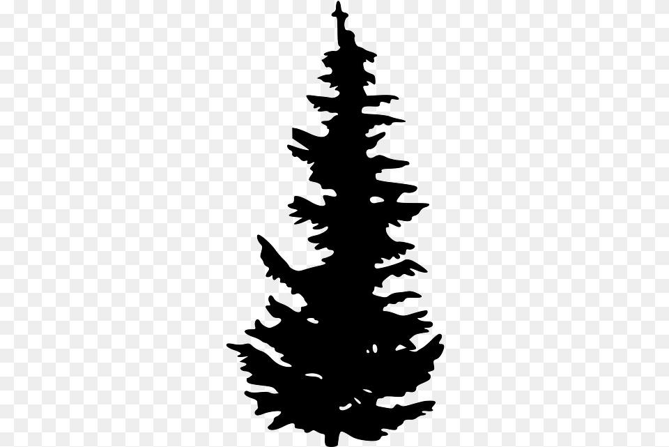 Evergreen Tree Pine Clip Art Vector Evergreen Tree Silhouette, Gray Free Transparent Png