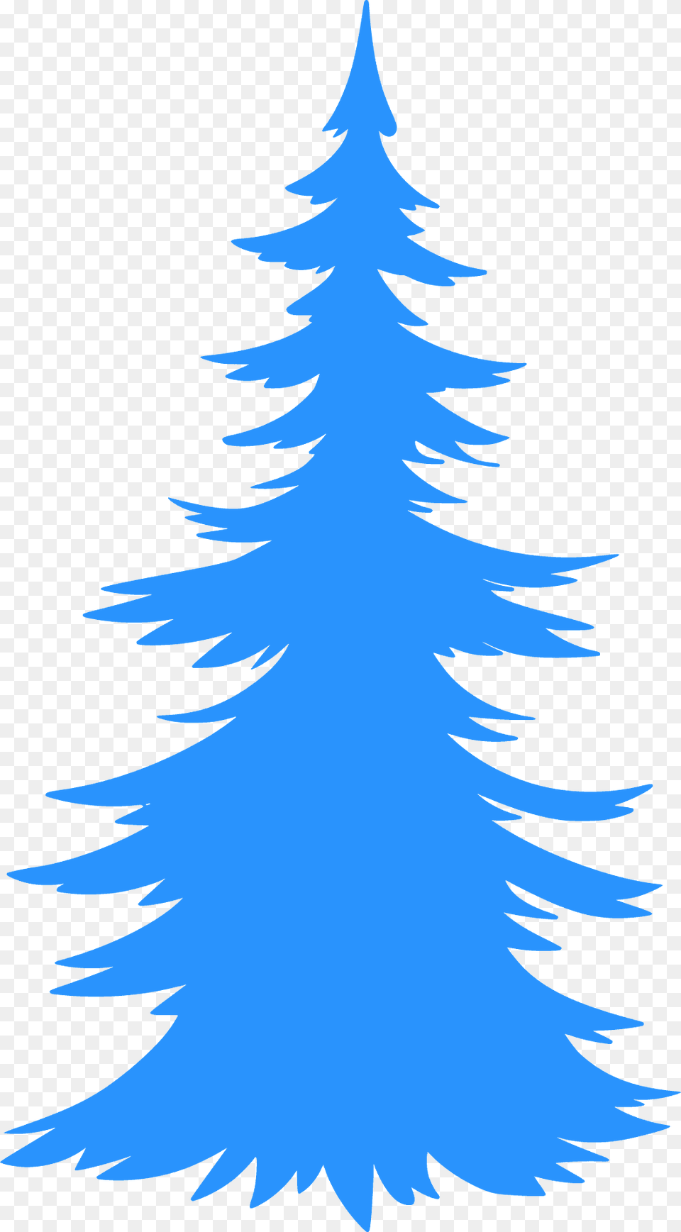 Evergreen Tree Silhouette, Plant, Fir, Fish, Sea Life Png