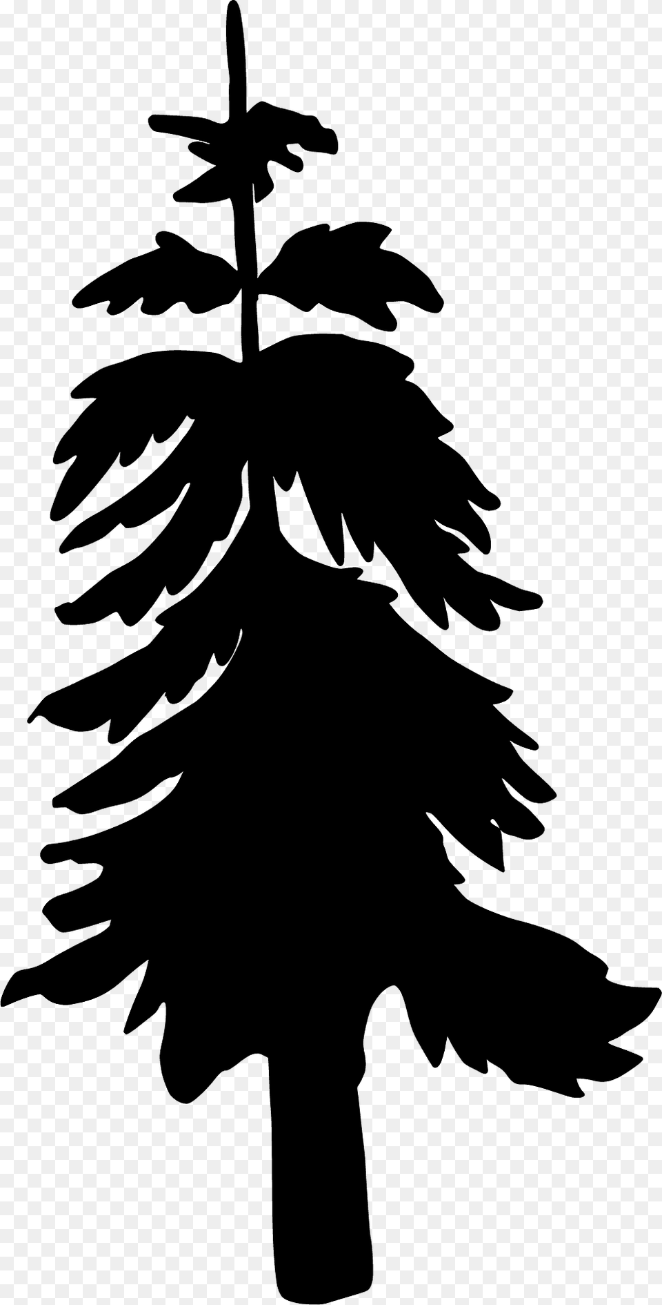 Evergreen Tree Silhouette, Leaf, Plant, Stencil, Person Free Transparent Png