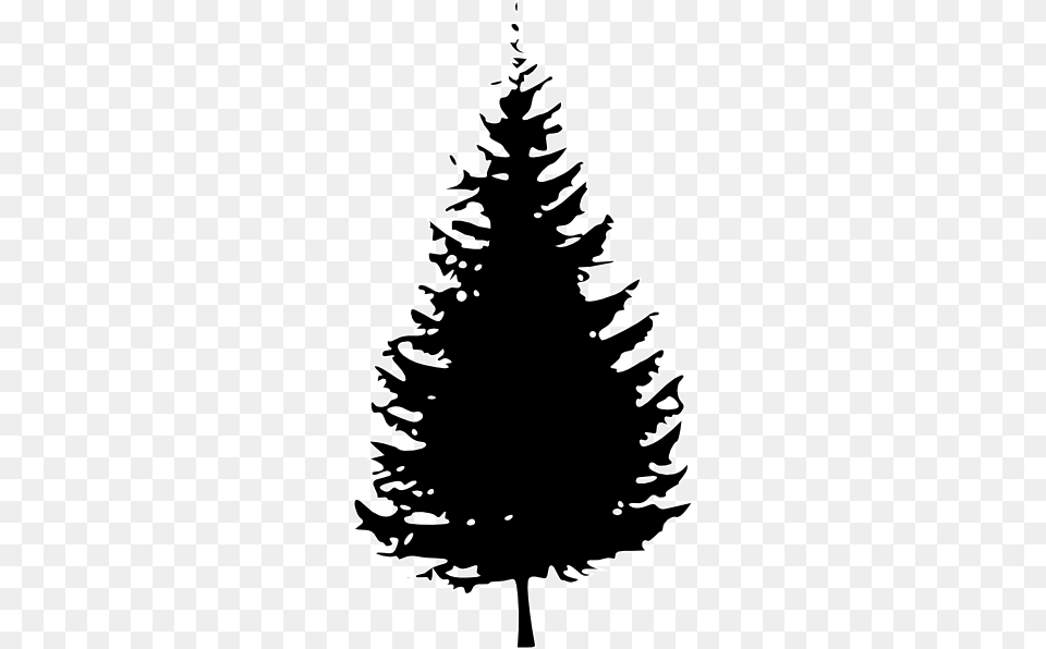 Evergreen Tree Silhouette, Plant, Stencil, Fir, Person Free Png Download