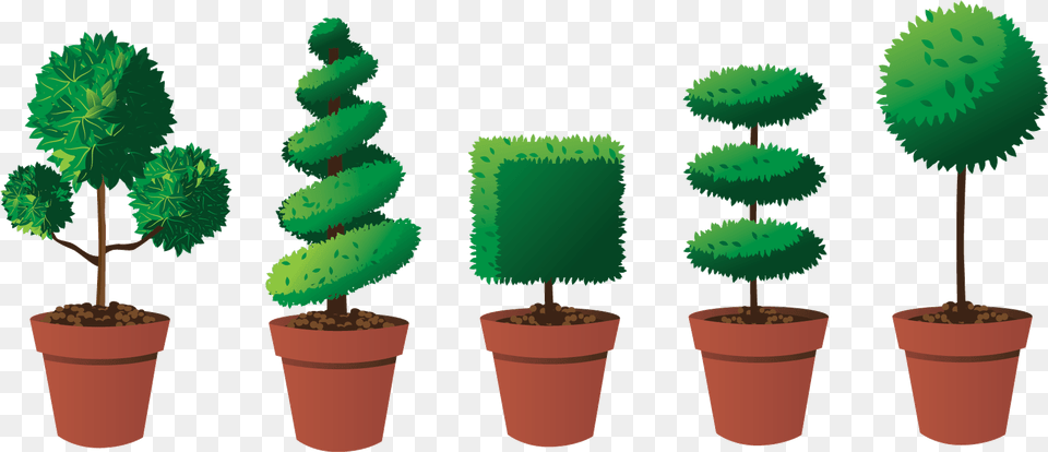 Evergreen Trees How To Trim A Topiary Tree Into A Landscaping Topiary, Plant, Potted Plant, Green, Cookware Png Image