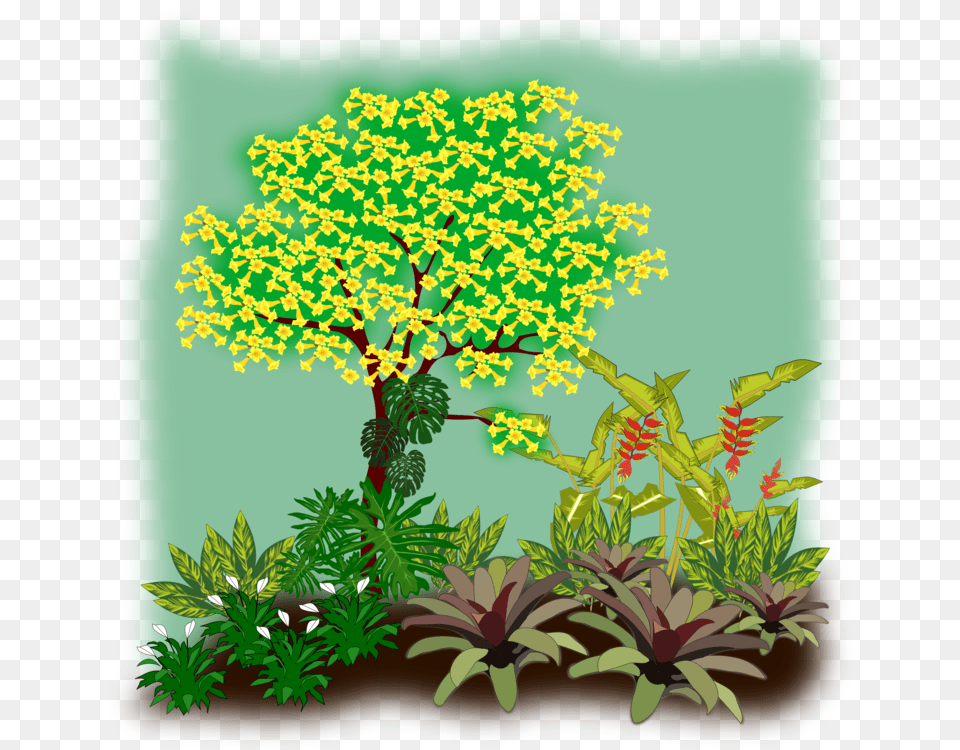 Evergreenplantshrub Flora Clipart, Vegetation, Plant, Herbs, Herbal Free Png Download