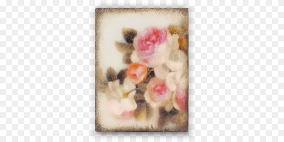 Everlasting Bloom T Tile, Rose, Plant, Flower, Flower Arrangement Png