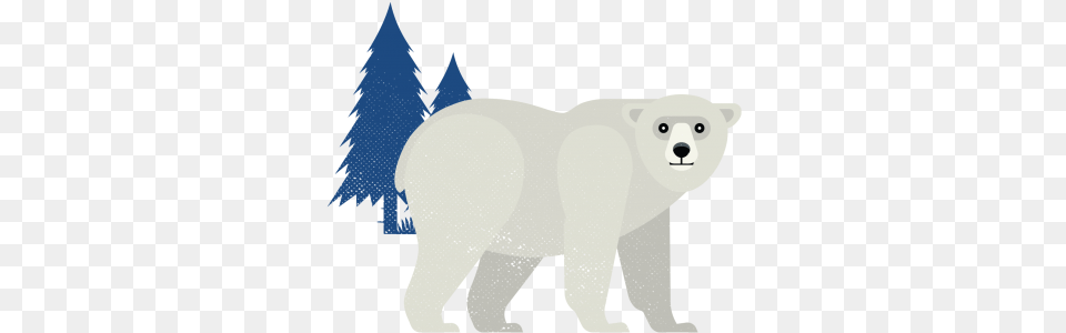 Everything Churchill See Polar Bears Belugas Northern Animal Figure, Bear, Mammal, Wildlife, Polar Bear Free Png