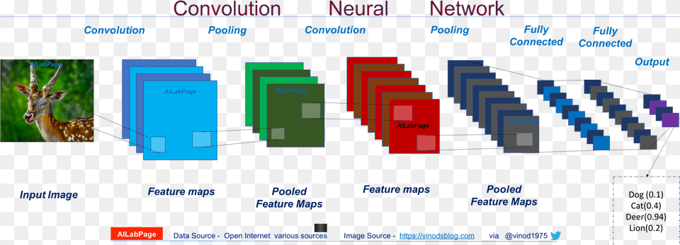 Everything You Need To Know About Convolutional Neural Convolutional Neural Networks Work, Animal, Antelope, Mammal, Wildlife Png