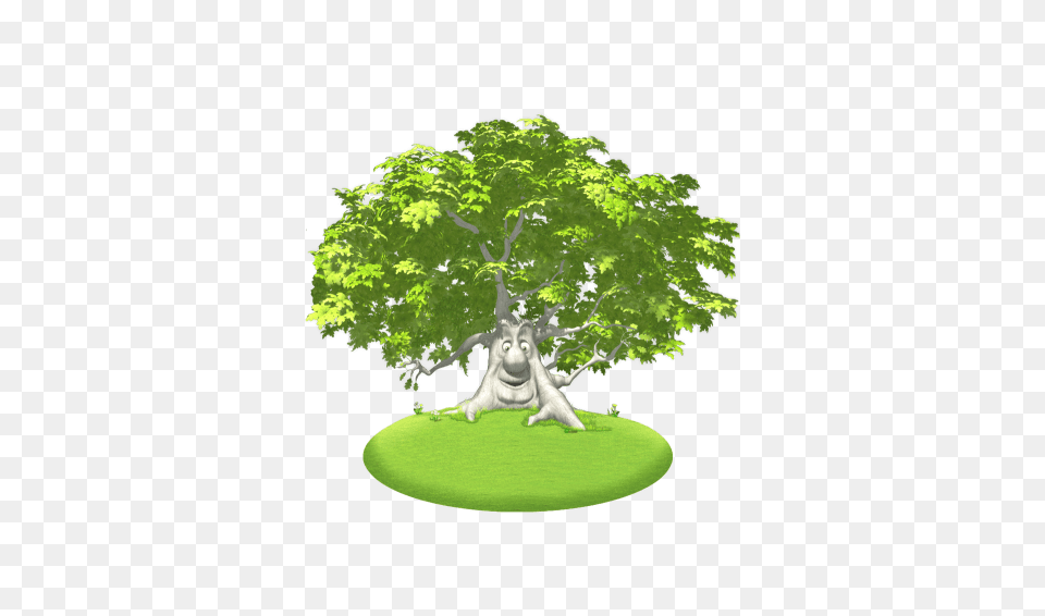 Everythings Rosie Oakley The Oak Tree, Grass, Plant, Vegetation, Green Free Png Download