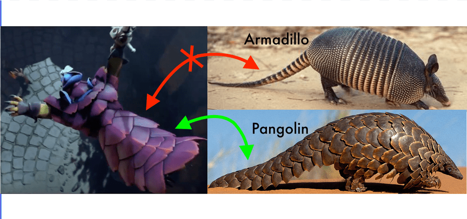 Evidence That The New Hero Is A Pangolin And Not An, Animal, Mammal, Wildlife, Baby Png Image
