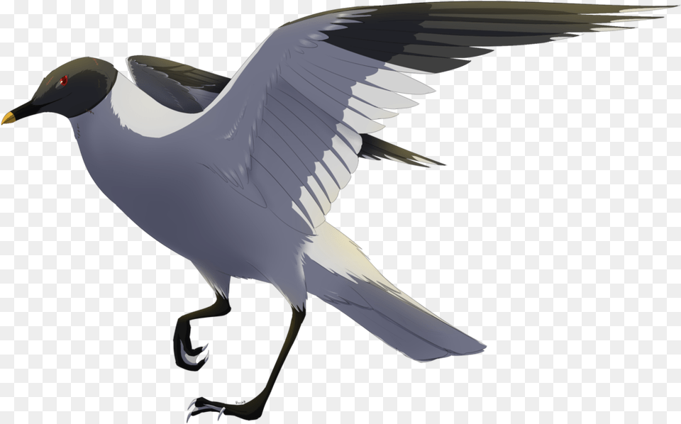 Evil Bird Digital Art, Animal, Flying, Seagull, Waterfowl Free Png
