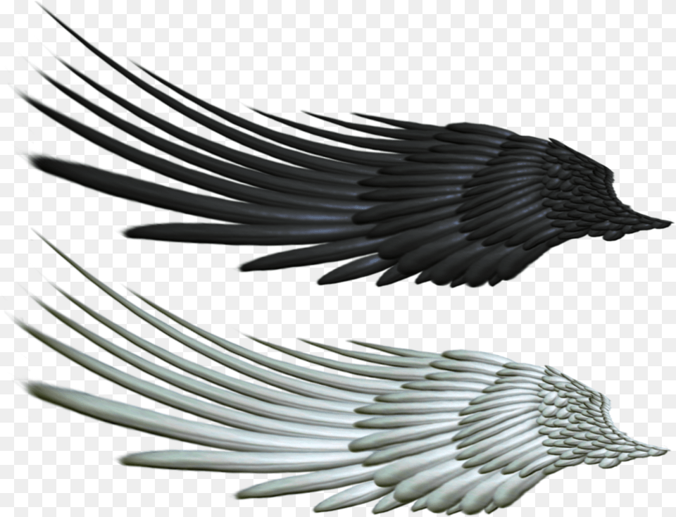 Evil Clipart Raven Horse Wings, Animal, Bird, Vulture, Crow Free Png Download