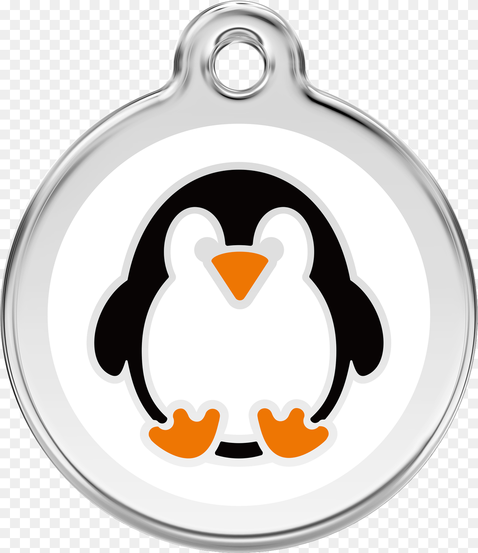 Evil Eye, Animal, Bird, Accessories, Penguin Free Png Download