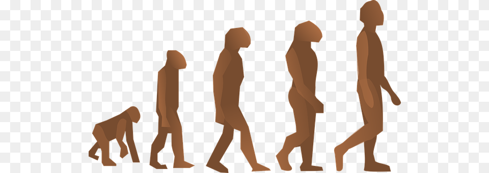 Evolution Person, Adult, Male, Man Png