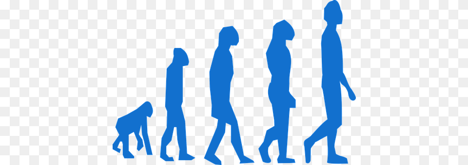 Evolution Person, Walking, Silhouette, Adult Free Png
