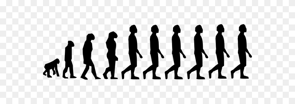 Evolution Gray Png Image
