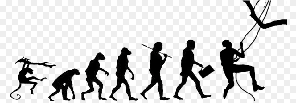 Evolution, Gray Png