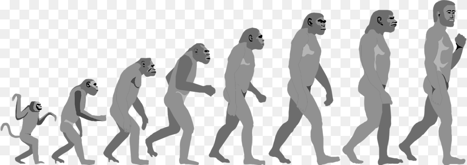 Evolution Clip Art Images Clipart Evolution Of Life And Form Four Lectures Delivered, Adult, Female, Male, Man Free Png Download