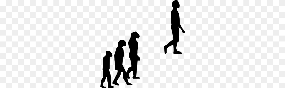 Evolution Clip Arts For Web, Gray Free Png Download