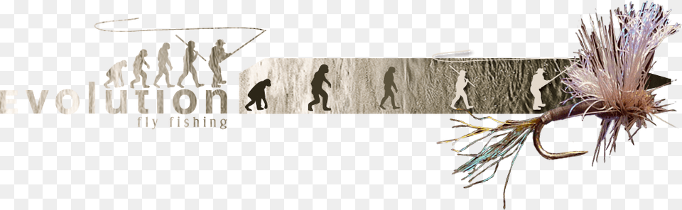 Evolution Flyfishing, Art, Collage, Person Free Transparent Png