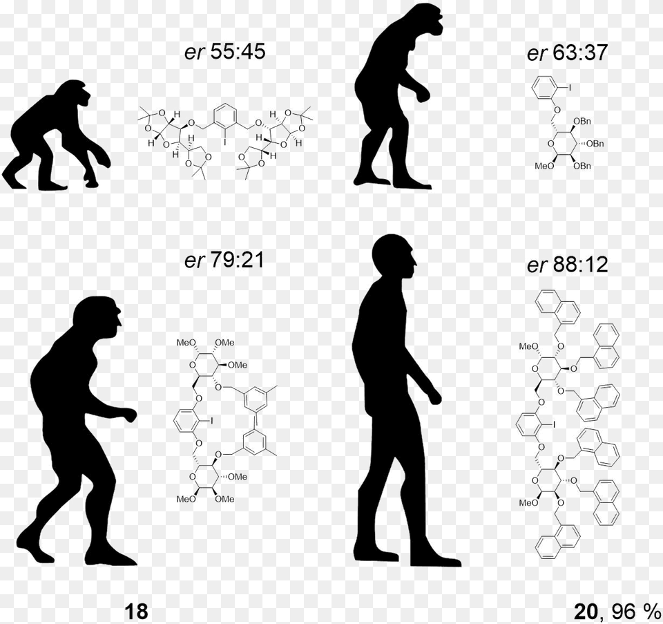 Evolution Handstand, Silhouette, Adult, Male, Man Png Image