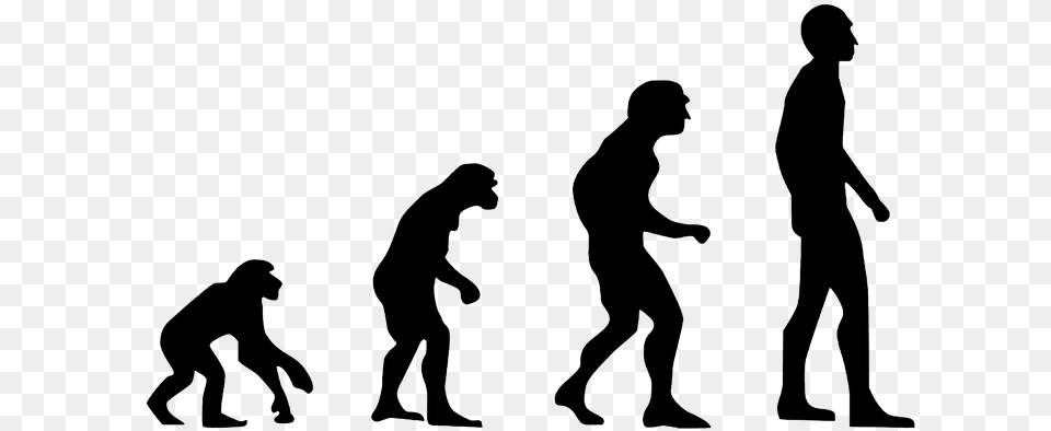 Evolution Human Evolution The Theory Of Evolution Theory Of Evolution, Silhouette, Adult, Male, Man Free Transparent Png