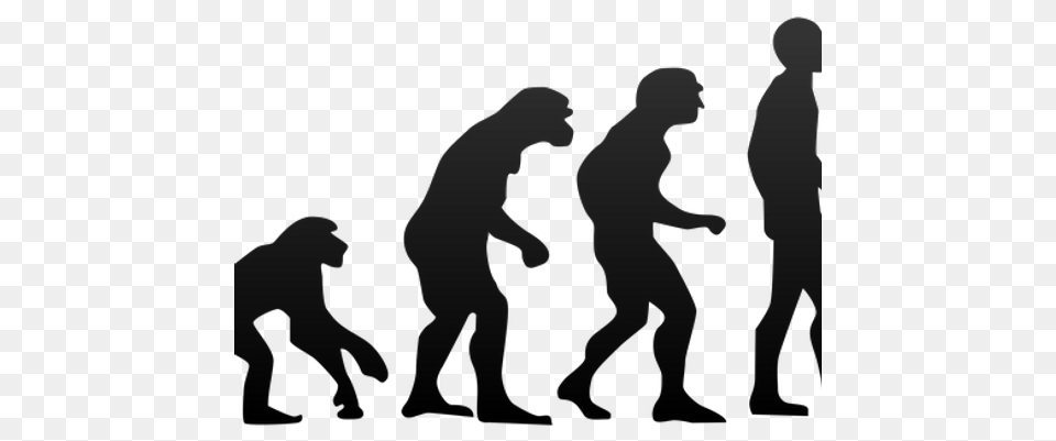 Evolution Lessons Are Under Sabotage In Arizona Scientists Say, Silhouette, Lighting, People, Person Free Transparent Png