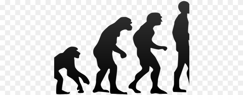 Evolution Of Humans, Silhouette, Lighting, People, Person Free Transparent Png