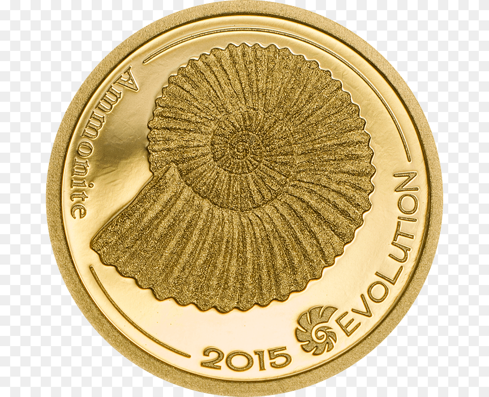 Evolution Of Life 2015 Gold Ammonite, Plate, Coin, Money Png Image