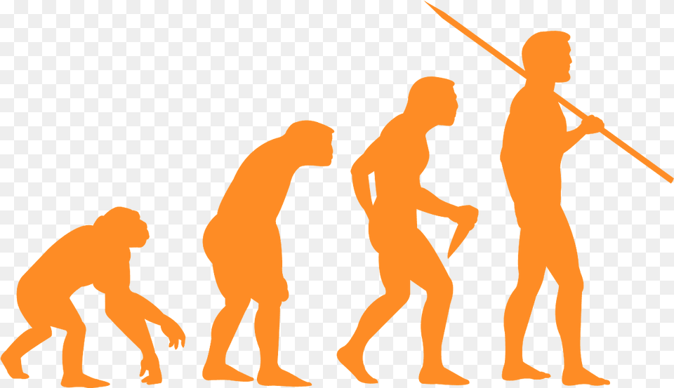 Evolution Of Man Silhouette, Adult, Male, Person, Head Free Png