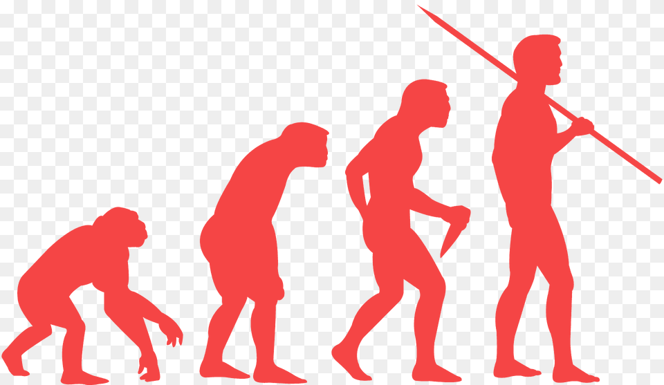 Evolution Of Man Silhouette, Adult, Male, Person, Baby Free Png Download