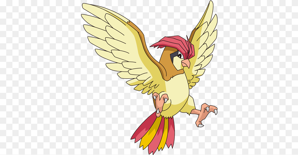 Evolution Pidgeotto, Face, Head, Person Png Image