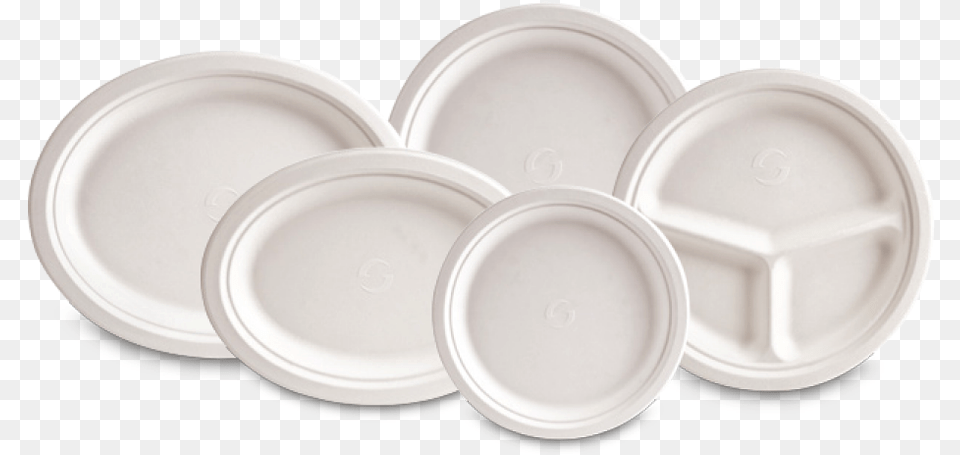Evolution Plates Plate, Art, Dish, Food, Meal Free Png